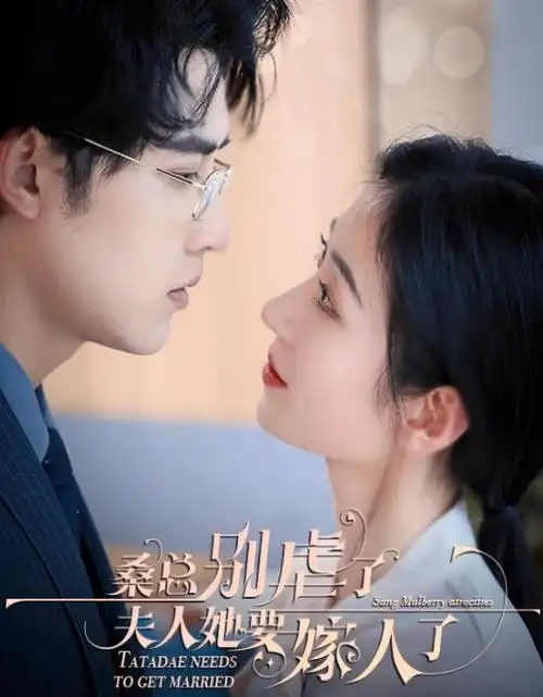 我的阿勒泰全集免费观看